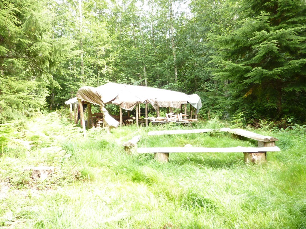 1022 Hazel Point Road Quilcene, WA 98376 - Photo 11 of 15 Gallery Image 11