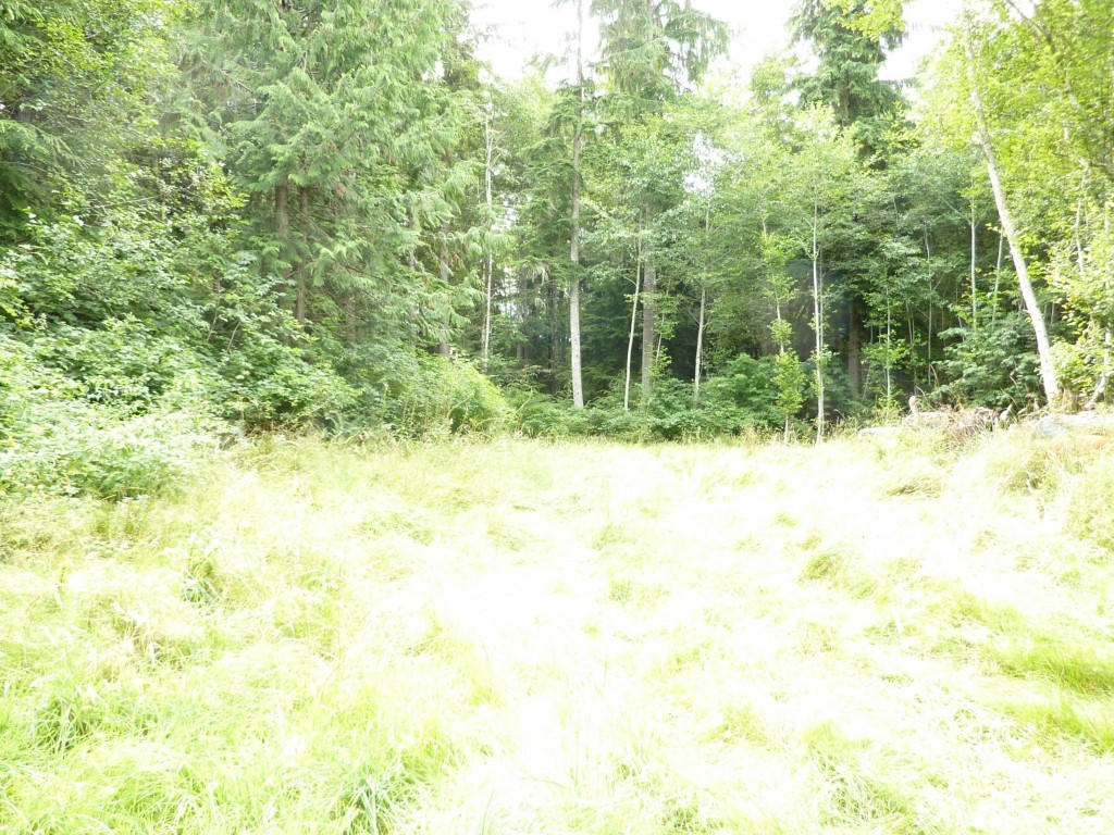 1022 Hazel Point Road Quilcene, WA 98376 - Photo 12 of 15 Gallery Image 12