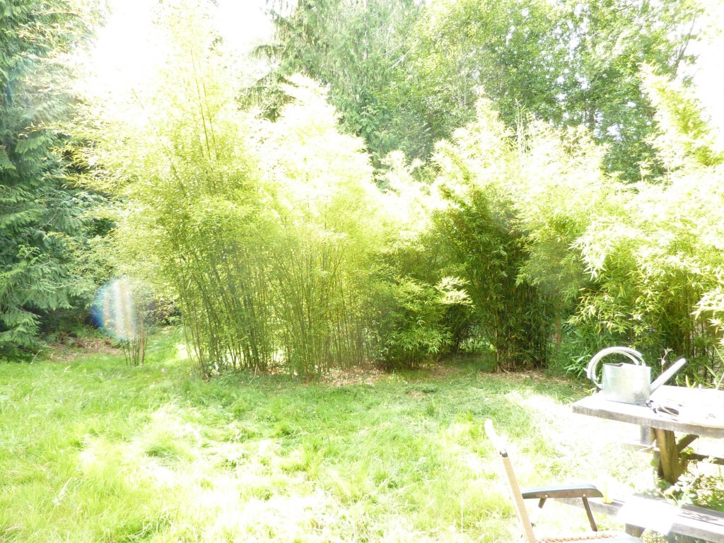 1022 Hazel Point Road Quilcene, WA 98376 - Photo 14 of 15 Gallery Image 14