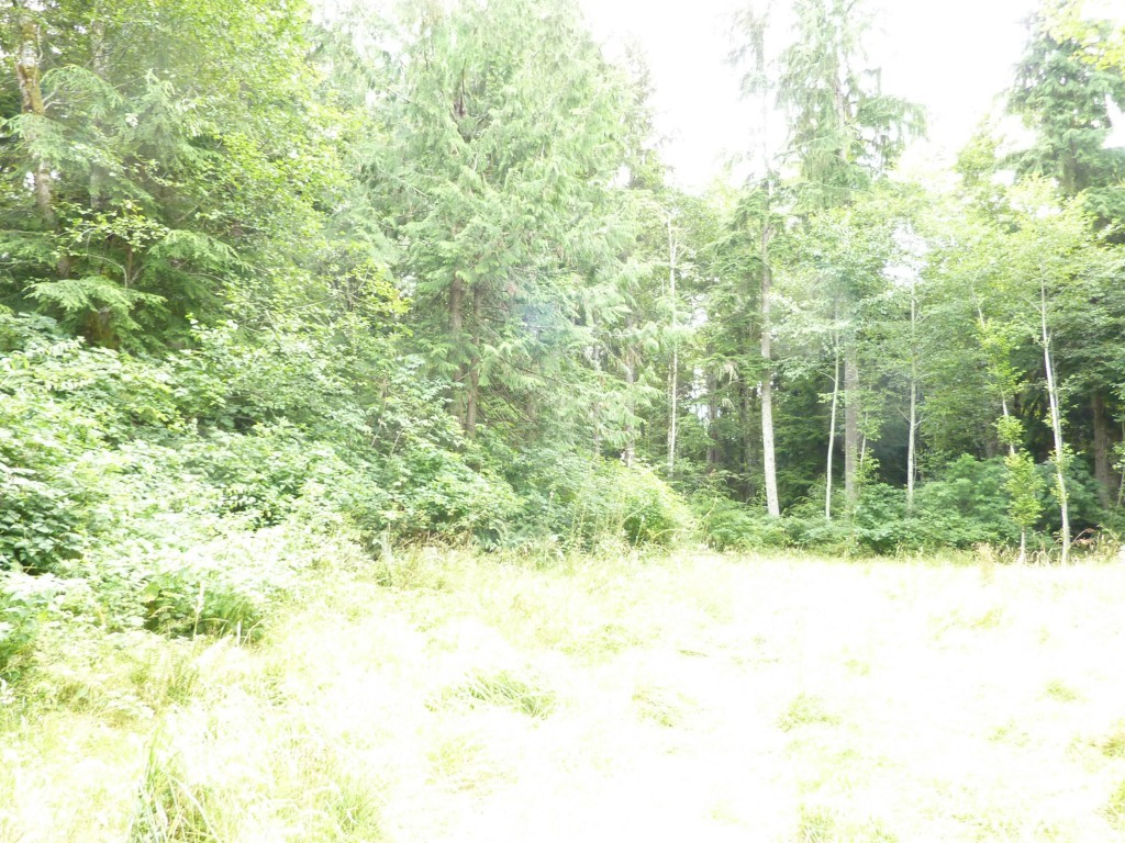 1022 Hazel Point Road Quilcene, WA 98376 - Photo 15 of 15 Gallery Image 15