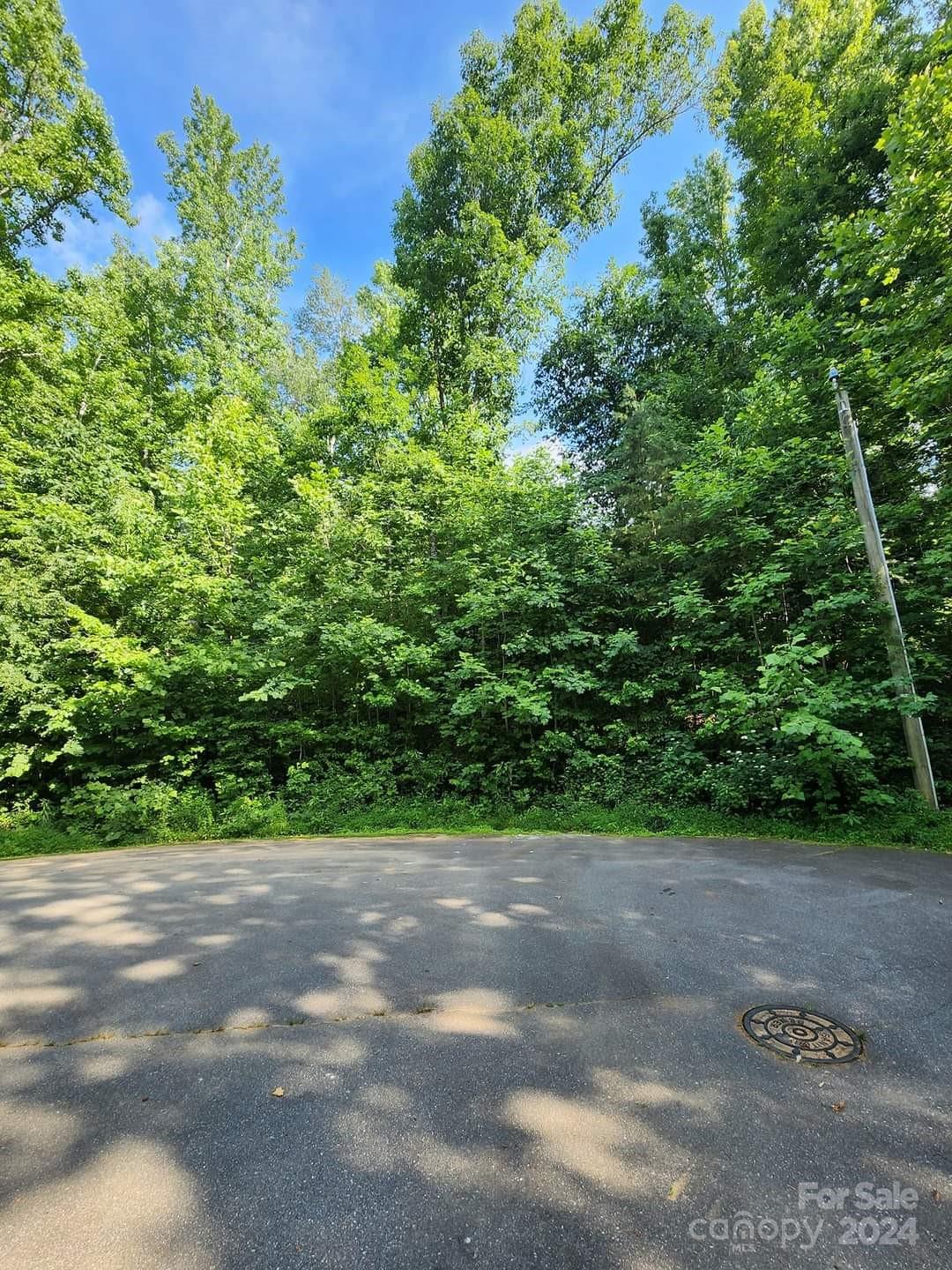 0 Merts Way, Unit 14 Hudson, NC 28638 - Photo 3 of 3 a view of a yard with a plant