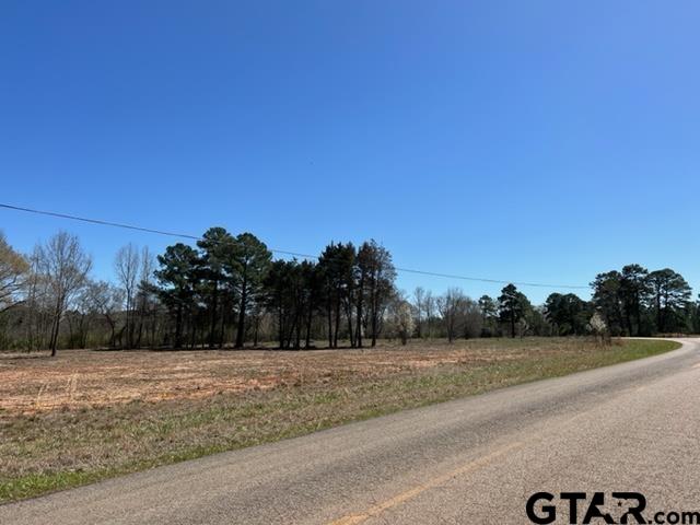 37-acres Off Watson Road Kilgore, TX 75662 - Photo 17 of 38 a view of a backyard
