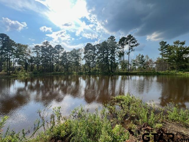 37-acres Off Watson Road Kilgore, TX 75662 - Photo 33 of 38 a view of a lake with a city