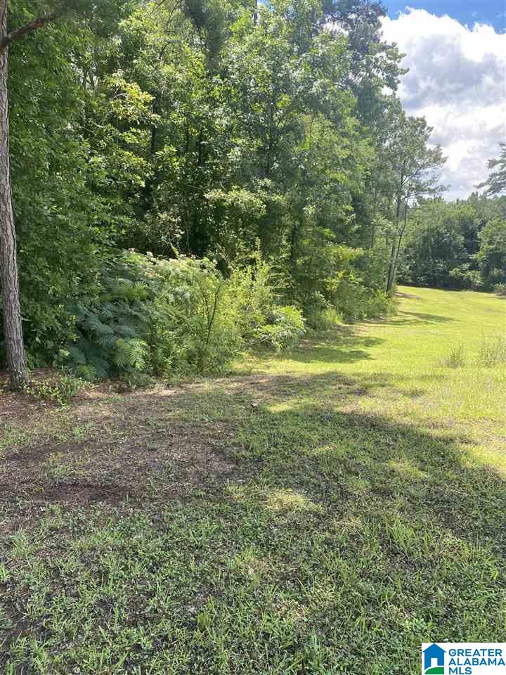 4216 Alexander Road, Unit 1 & 2 Quinton, AL 35130 - Photo 2 of 3