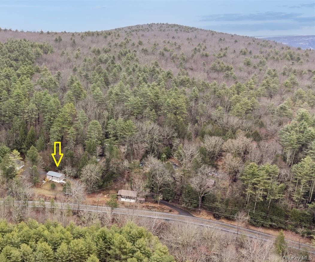 736 State Rte 55 Napanoch, NY 12458 - Photo 32 of 49 View of mountain feature with a view of trees