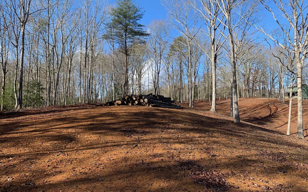 7-acres Payne Road Brasstown, NC 28902 - Photo 56 of 57 Gallery Image 56