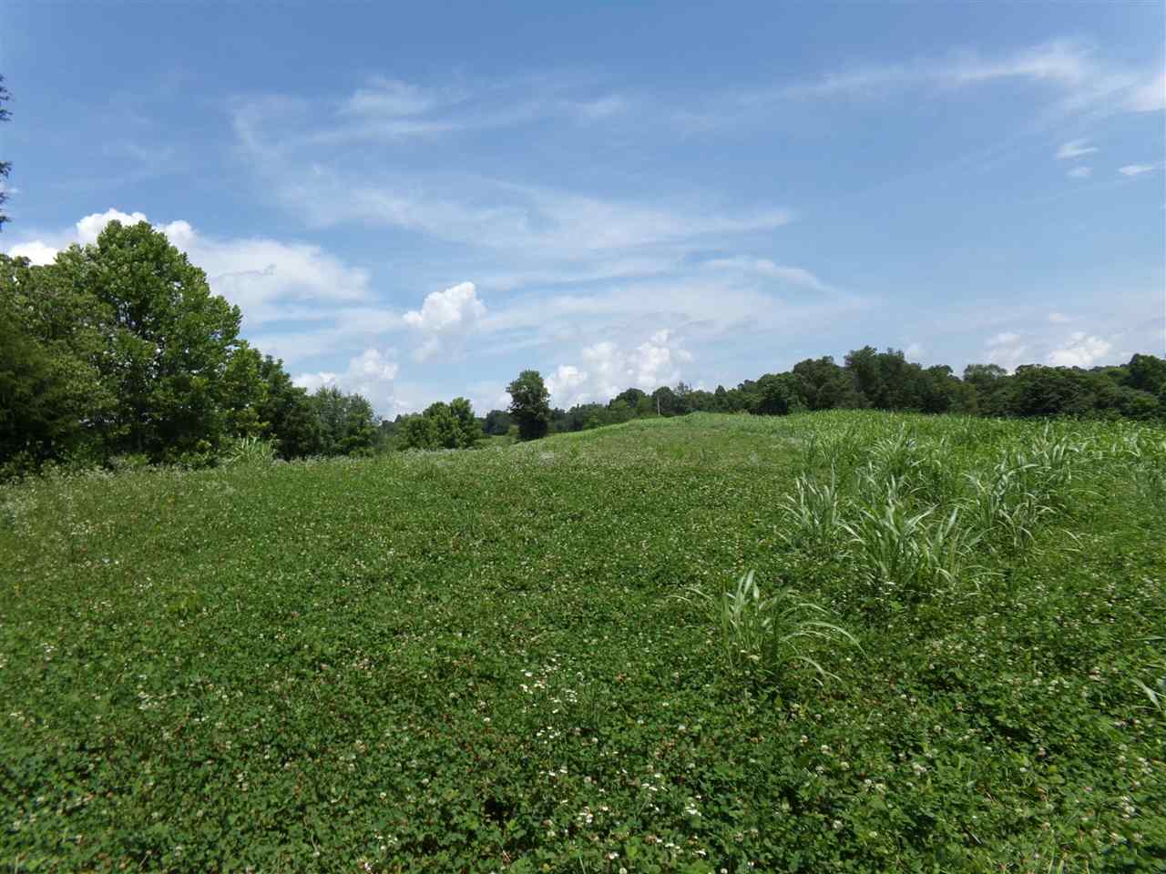 645 Ouiggins Road Olaton, KY 42361 - Photo 18 of 20 Gallery Image 18