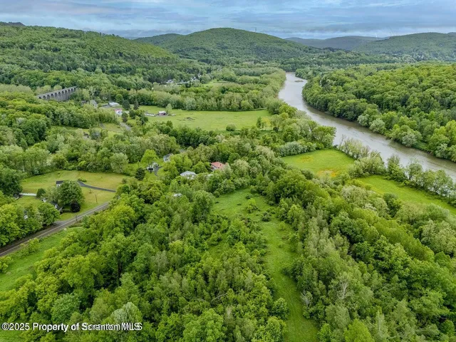 a view of a lush green forest with a houses
