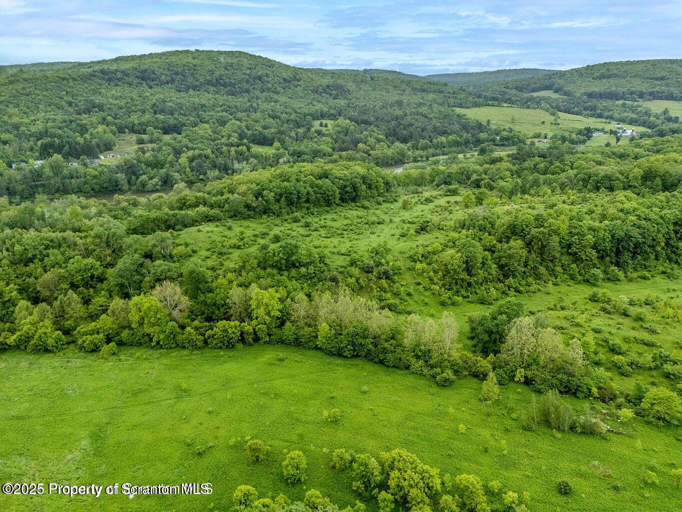 436 State Line Road Susquehanna, PA 18847 - Photo 2 of 13 a view of a green field with lots of bushes