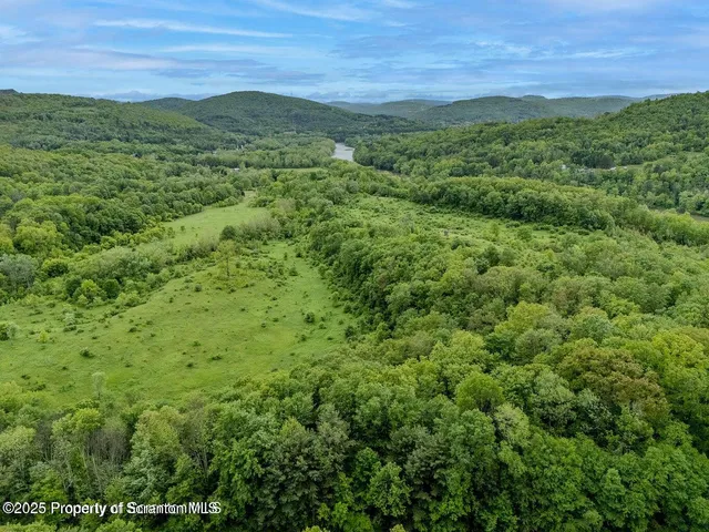 a view of a green field with lots of bushes