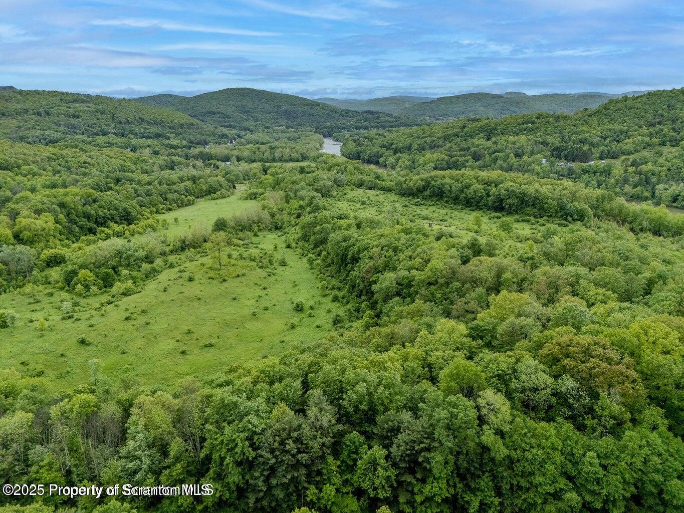 436 State Line Road Susquehanna, PA 18847 - Photo 5 of 13 a view of a green field with lots of bushes