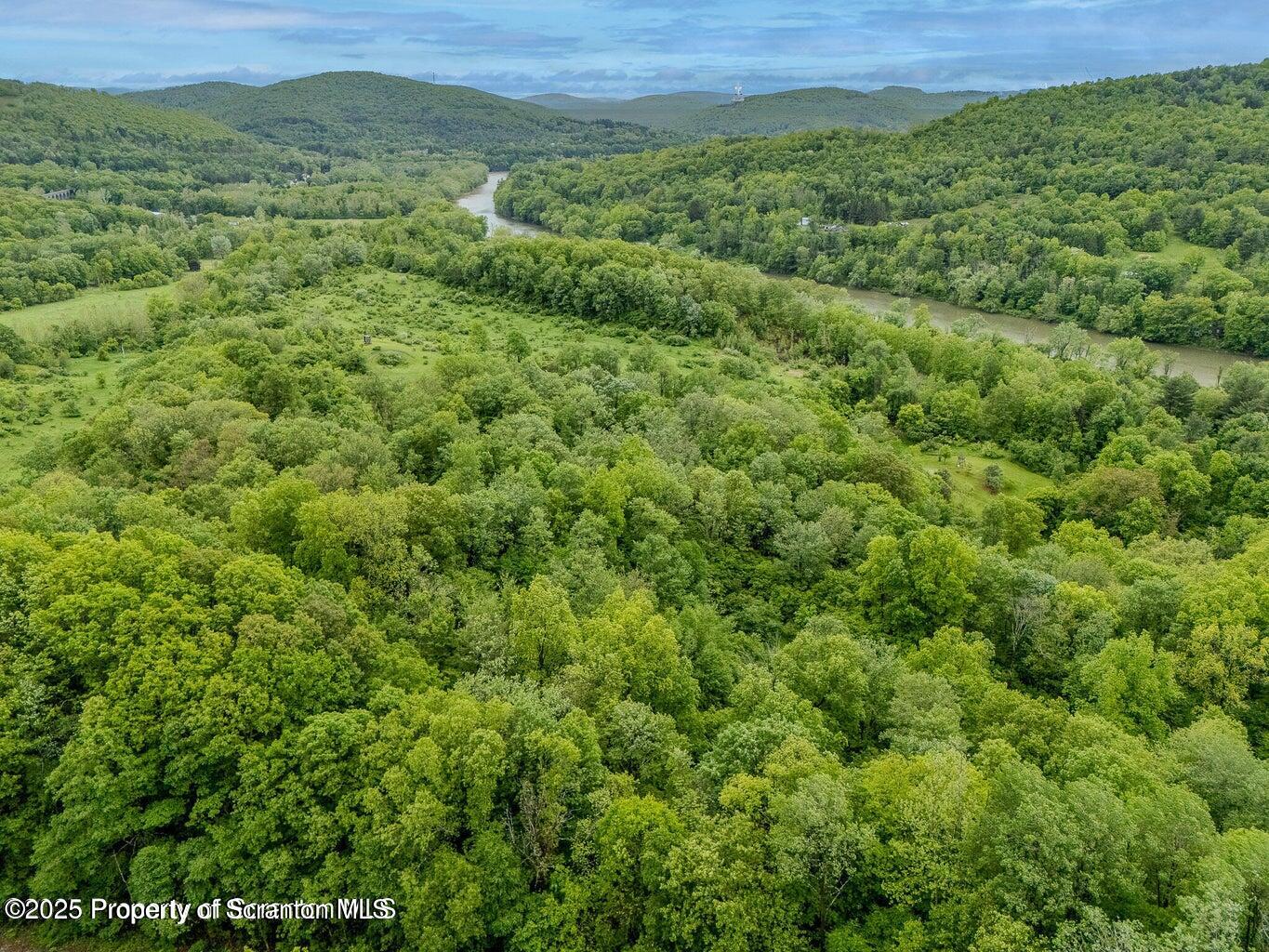 436 State Line Road Susquehanna, PA 18847 - Photo 6 of 13 a view of a green field with lots of bushes