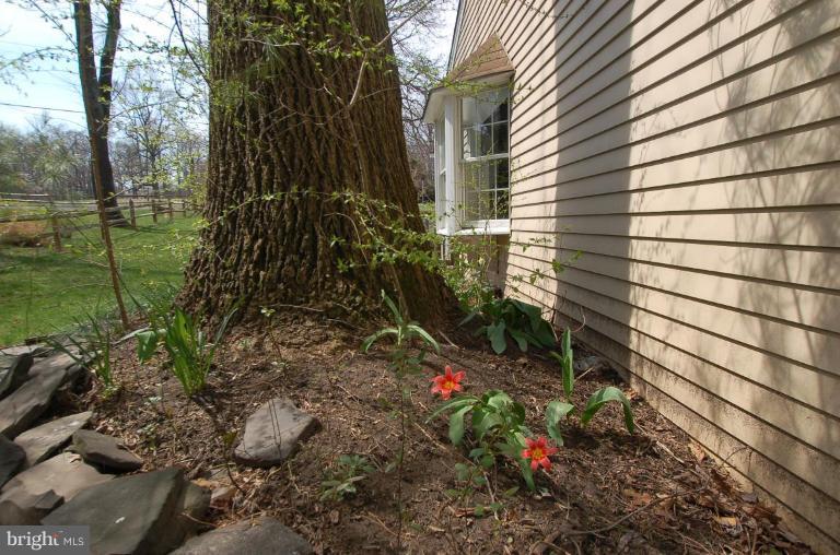 2431 Flint Hill Road Vienna, VA 22181 - Photo 7 of 30 Exterior #2