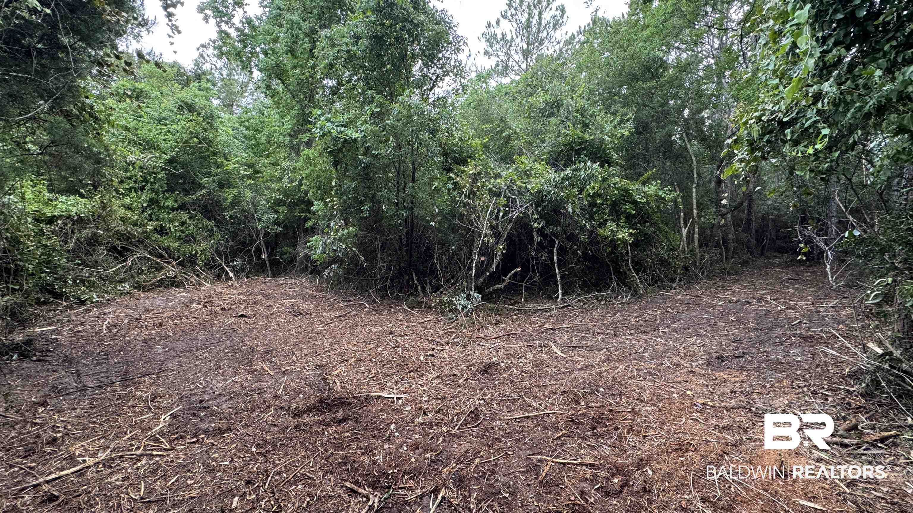0 Bohling Street Elberta, AL 36530 - Photo 20 of 23 View of undeveloped land