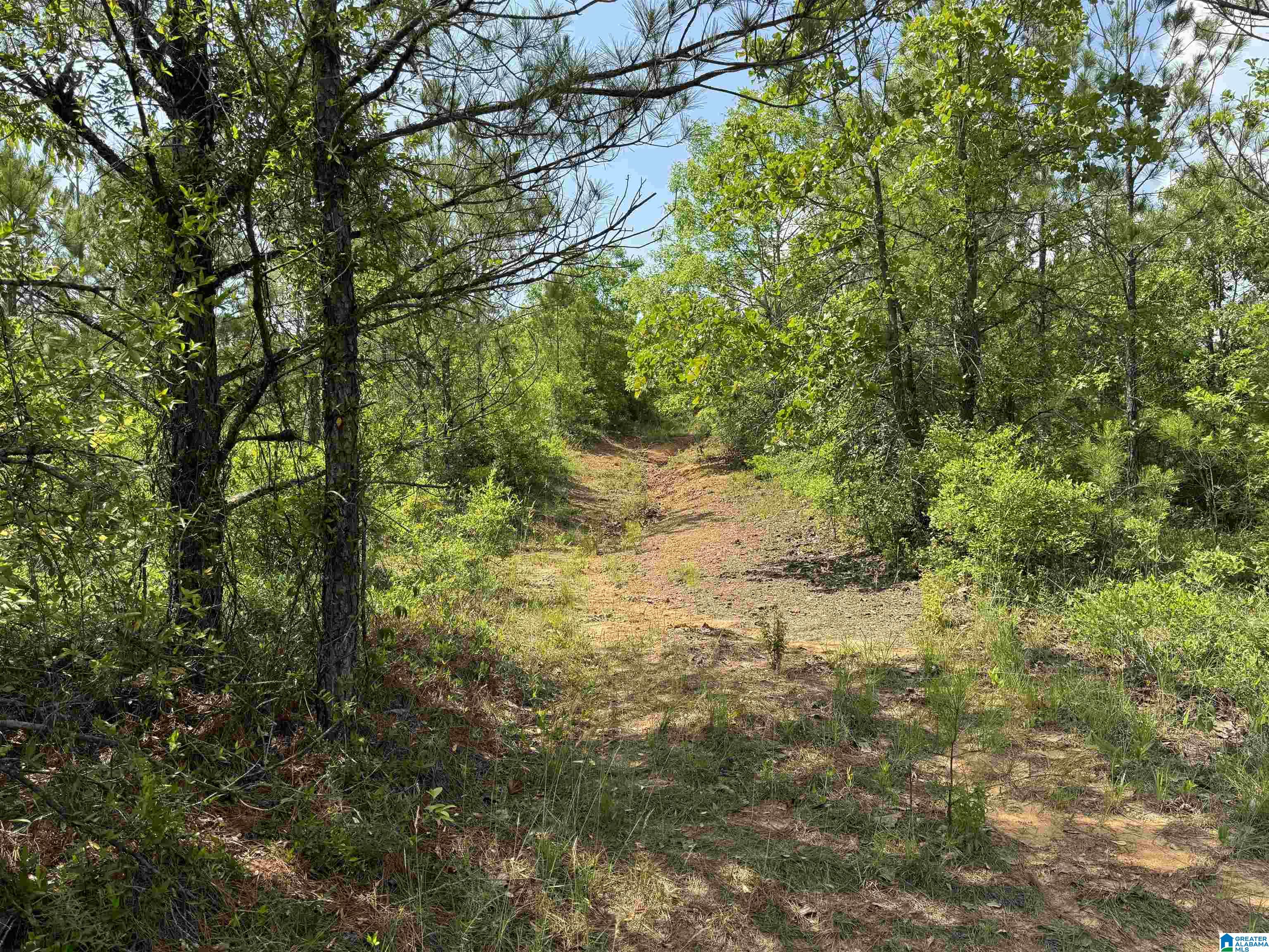 0 County Road 307, Unit 1 Stanton, AL 36790 - Photo 4 of 4