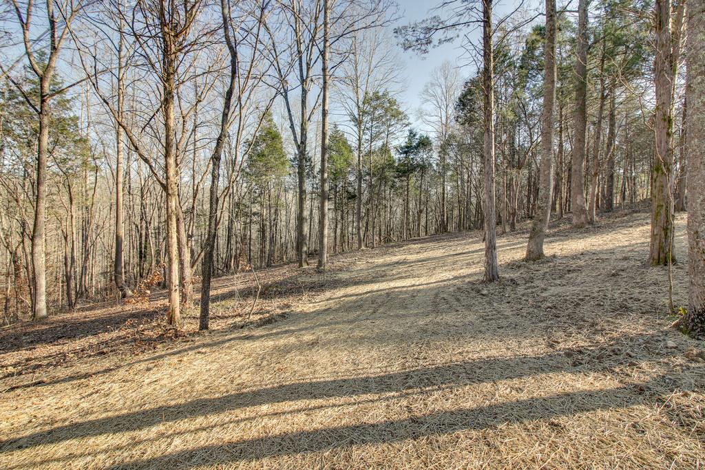 1260 Dawson Road White Bluff, TN 37187 - Photo 30 of 30 Gallery Image 30