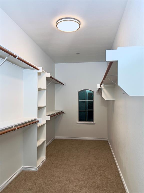 1902 Downing Street Allen, TX 75013 - Photo 18 of 19 larger master walk in closet