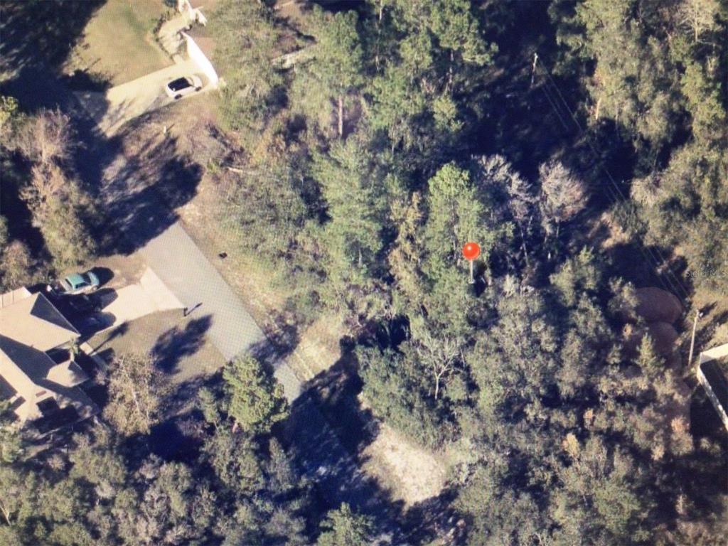 0 Southwest 25th Circle Ocala, FL 34472 - Photo 5 of 6 a view of outside plants and trees