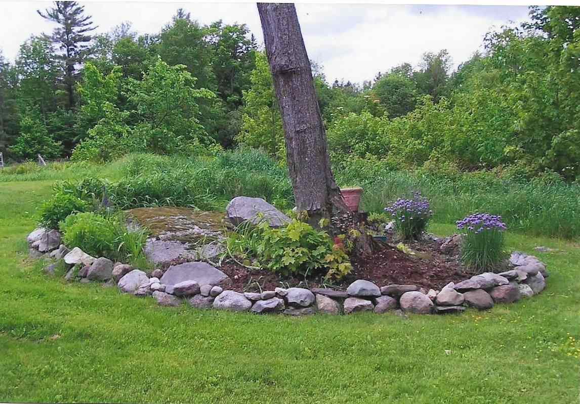 329 North Road Jefferson, NH 03583 - Photo 11 of 40