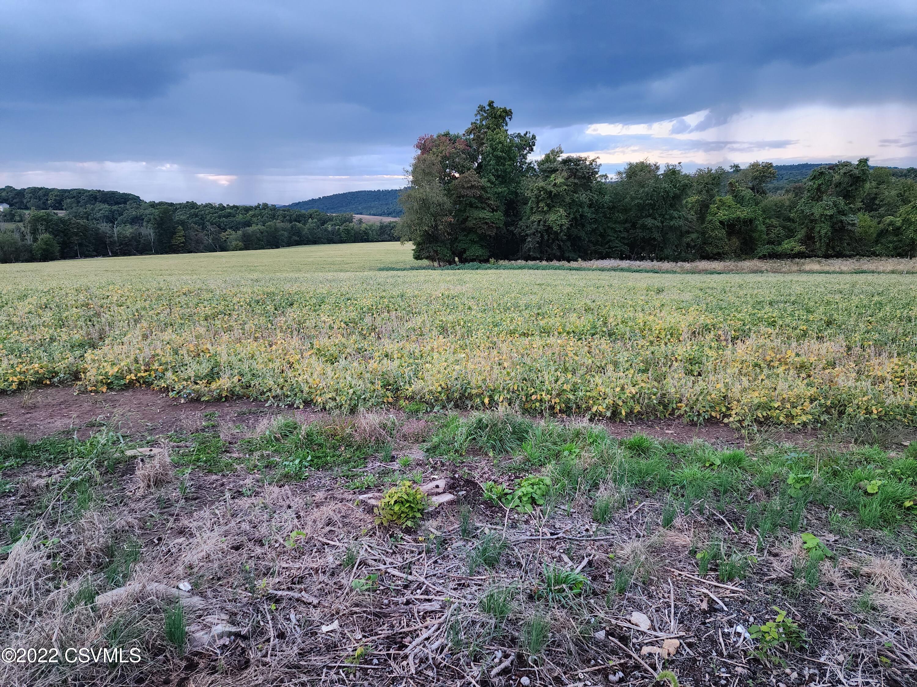 Lot 9 Mountain Road Paxinos, PA 17860 - Photo 1 of 1 Gallery Image 1