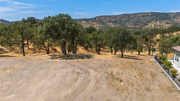 a view of outdoor space with trees