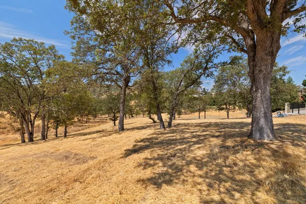 a view of outdoor space with trees