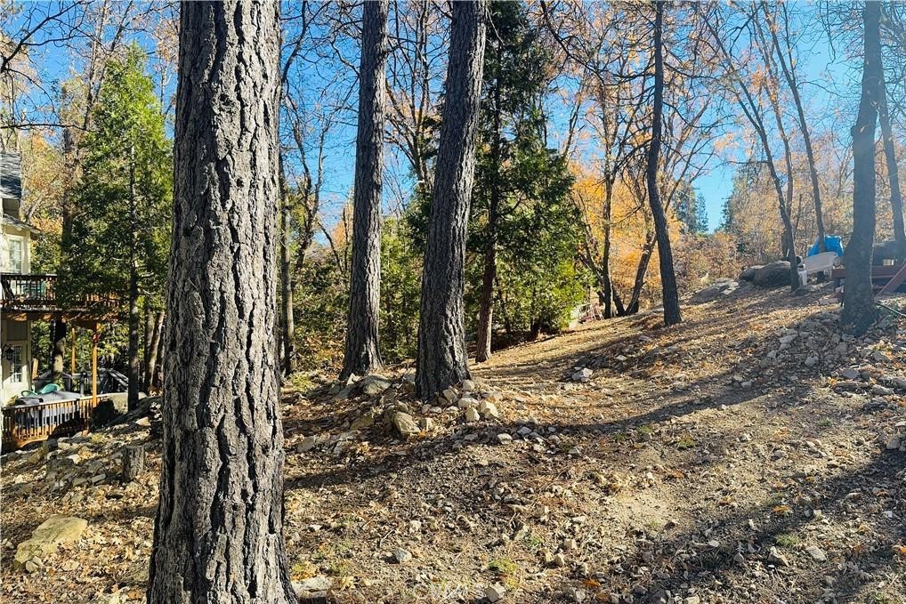 27619 Canyon Drive Lake Arrowhead, CA 92352 - Photo 13 of 13 Large back yard