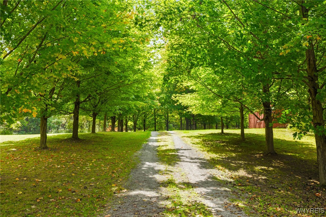 4476 Conway Road Bethany, NY 14054 - Photo 12 of 48