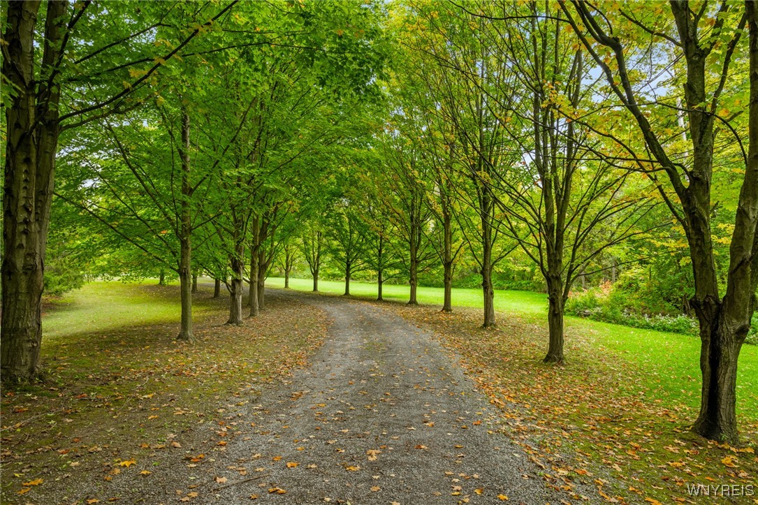 4476 Conway Road Bethany, NY 14054 - Photo 10 of 48