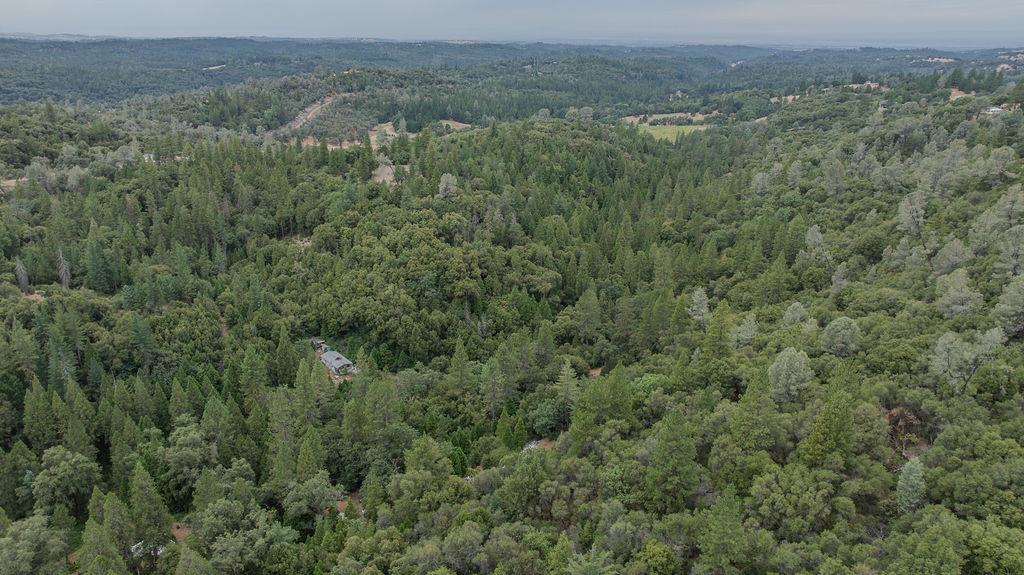18101 Old River Road Fiddletown, CA 95629 - Photo 35 of 53 Gallery Image 35