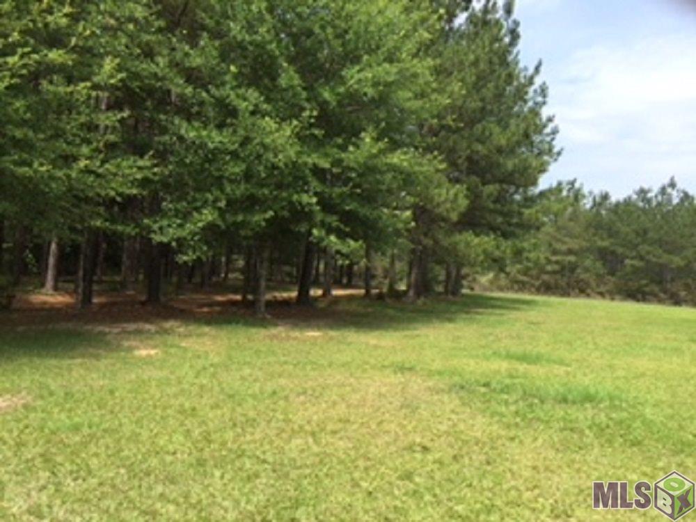 5854 Rattlesnake Road Clinton, LA 70722 - Photo 3 of 7 Gallery Image 3