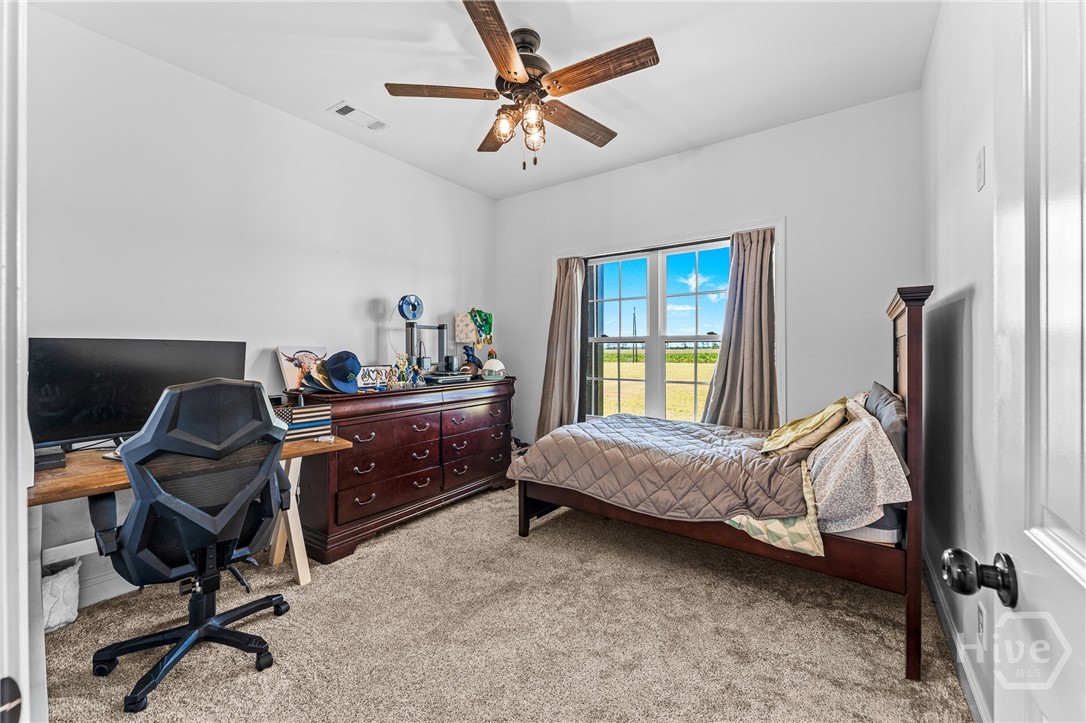 2997 Jason Franklin Road Register, GA 30452 - Photo 22 of 61