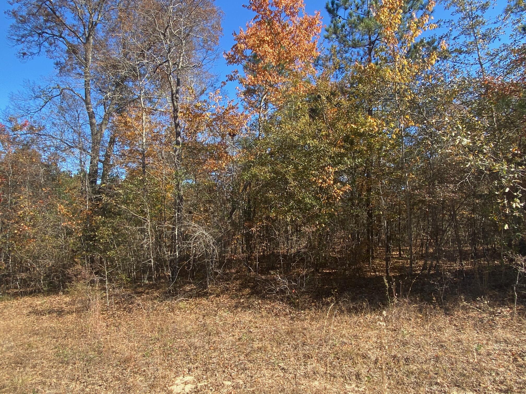 Lot C Emerson Road Aiken, SC 29801 - Photo 3 of 7
