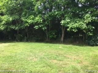 10727 Tuthill Road South Lyon, MI 48178 - Photo 29 of 40 IMG_4583.JPG
