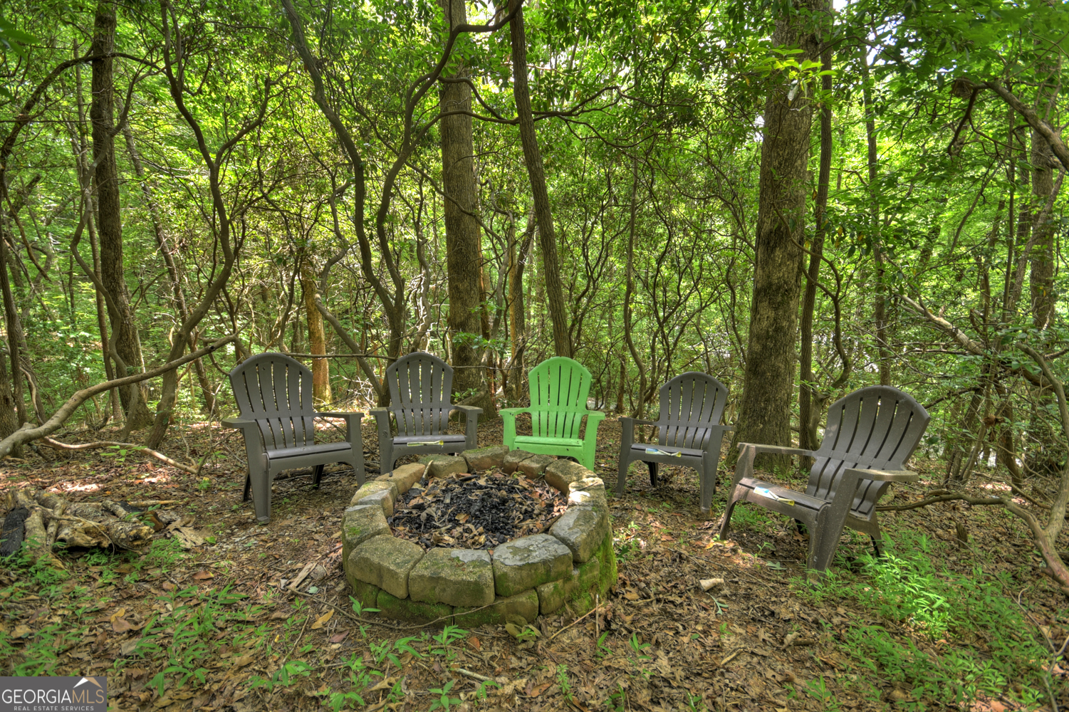135 Tomahawk Trail Blue Ridge, GA 30513 - Photo 53 of 54 a garden view with a seating space