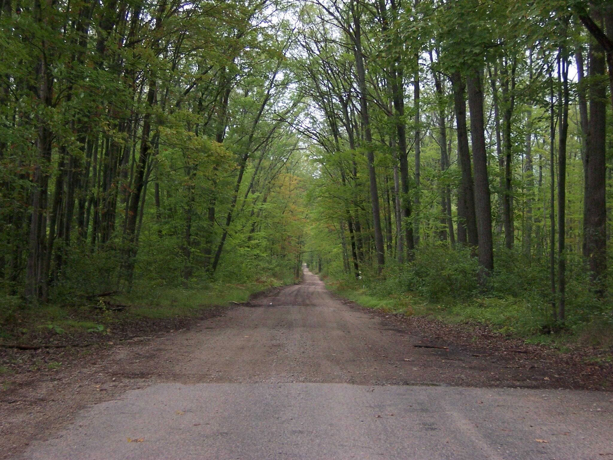6196 North Reserve Road Roscommon, MI 48653 - Photo 27 of 32 Gallery Image 27