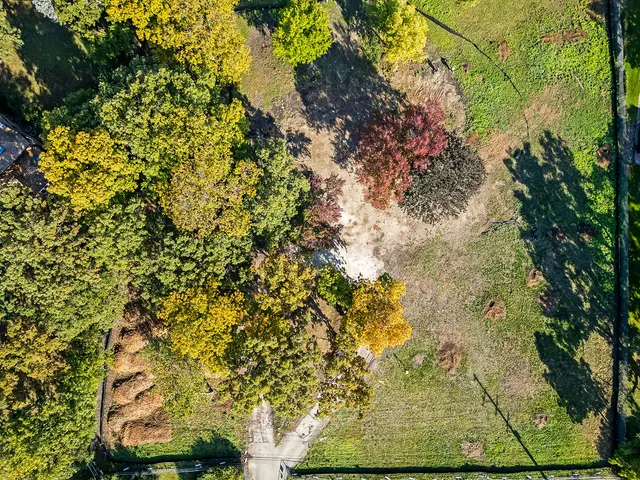 a big yard with lots of green space and trampoline