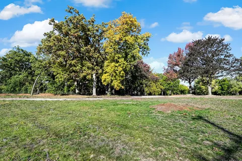 a view of outdoor space with yard and green space