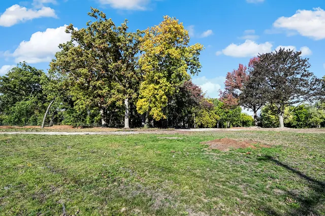 a view of outdoor space with yard and green space