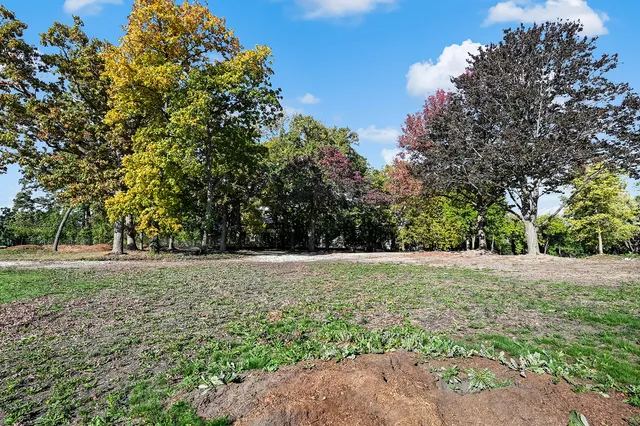a view of a tree in the middle of a yard