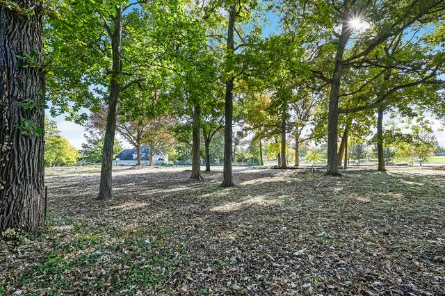 a fire hydrant in the middle of a field