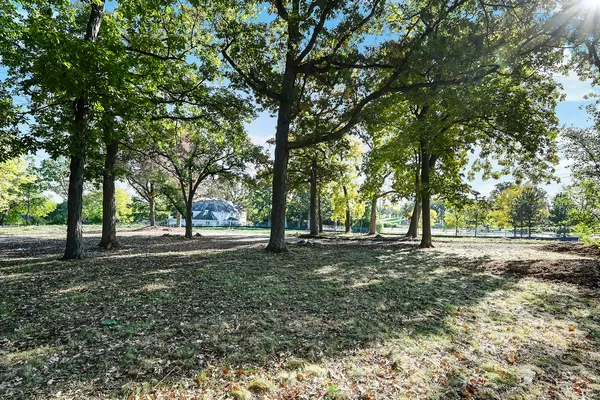 a view of outdoor space yard and tree