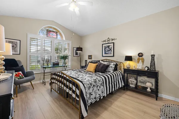 a view of a garden with a bench in a garden