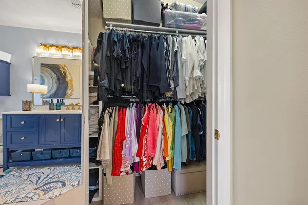 a view of a garden with a bench