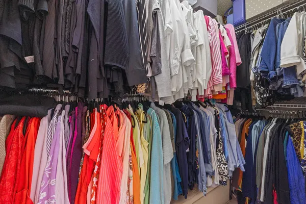 a view of a garden with a pathway