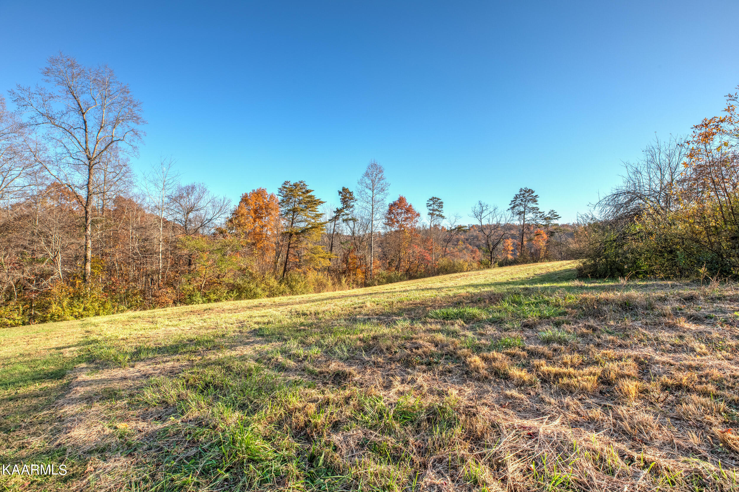 1228 Ridge Road Caryville, TN 37714 - Photo 13 of 52 A6111A0F-1EEE-40BE-960B-8D8A17AC313E