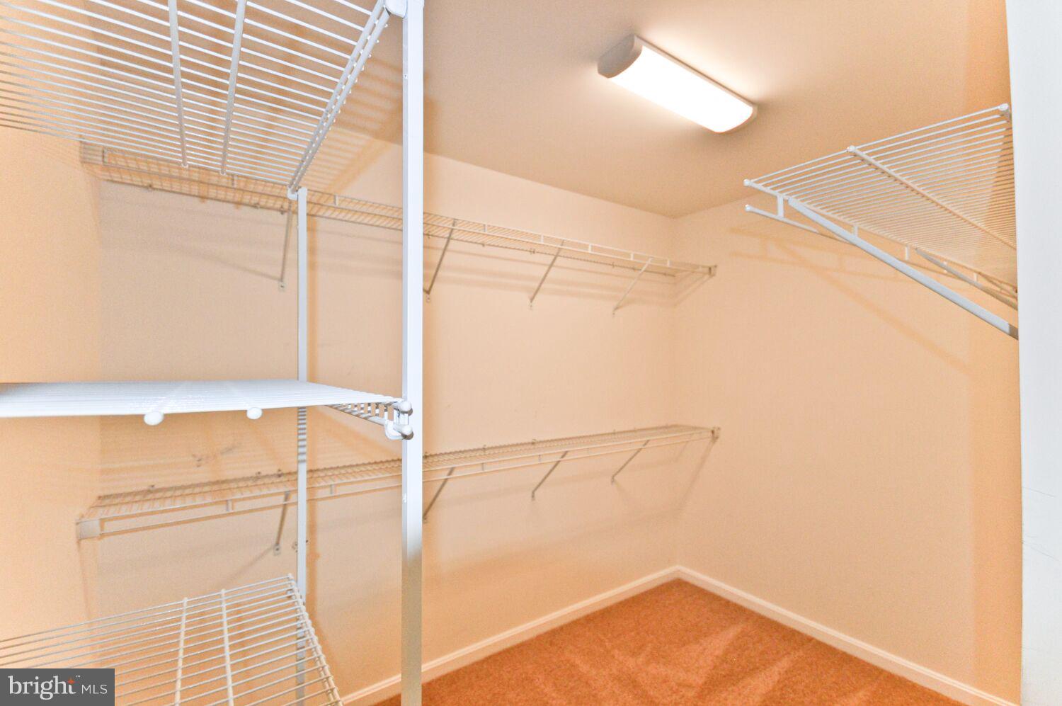 7110 Battle Field Loop Brandywine, MD 20613 - Photo 24 of 27 1 of 2 Walk-in Closets in Master Suite