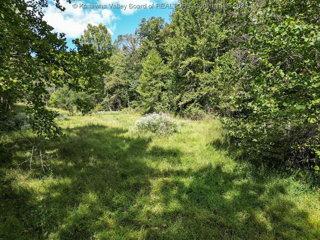 1150 Grandy Road Ravenswood, WV 26164 - Photo 20 of 22 Gallery Image 20