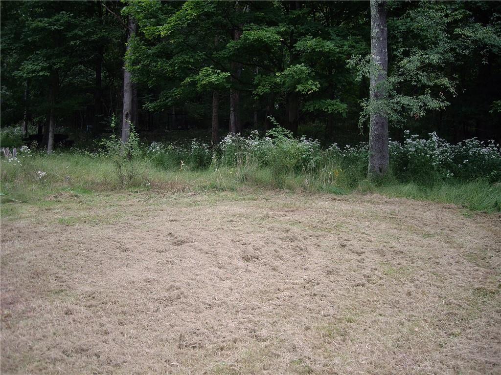 116 Kusch Road Scenery Hill, PA 15360 - Photo 9 of 23 Gallery Image 9