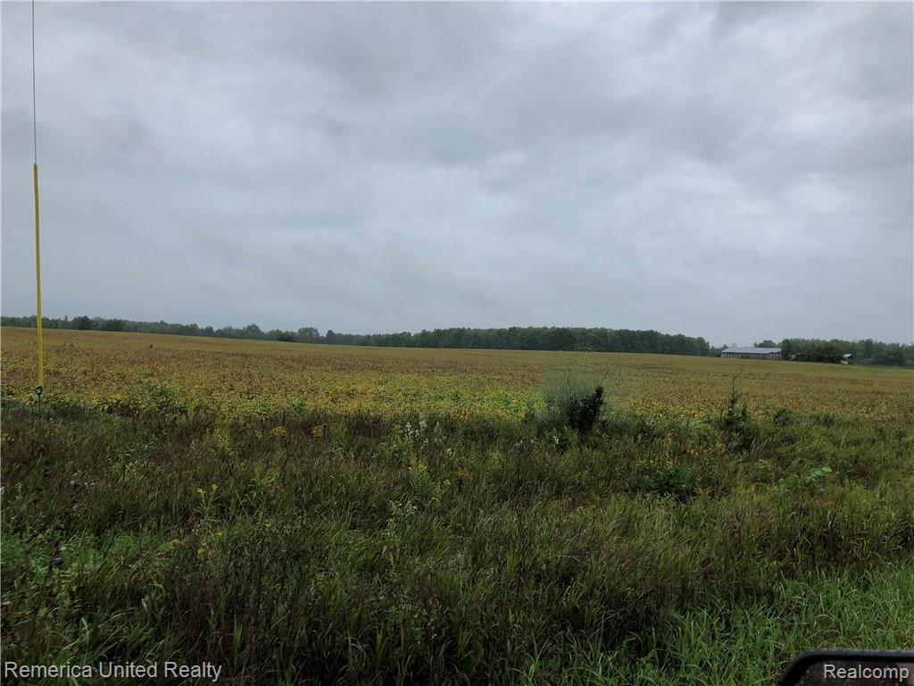 0 Long Rapids Road Lachine, MI 49753 - Photo 4 of 13